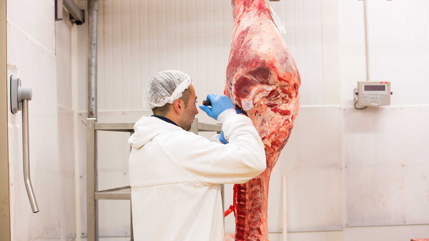 boucher-lozere-viande-qualité